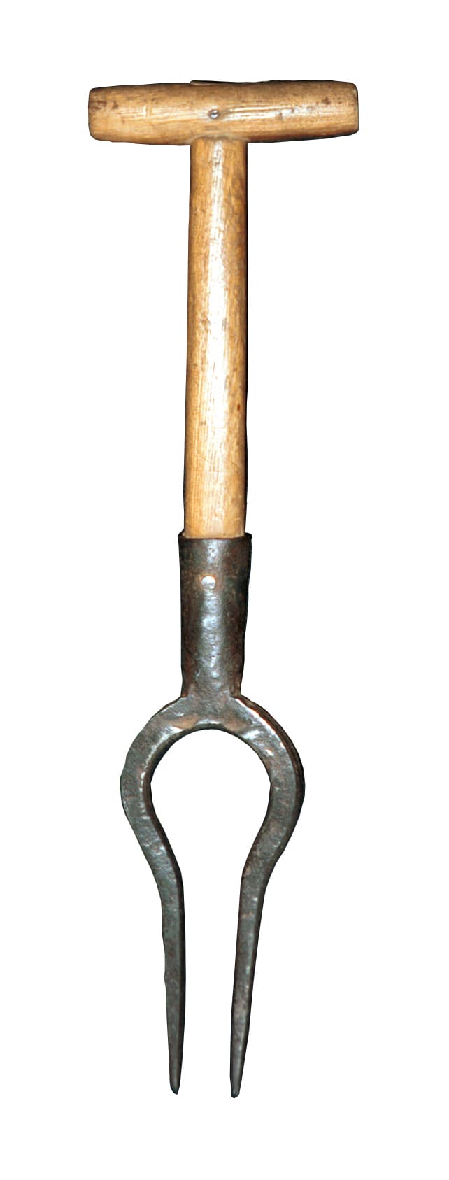 Photo Arrache-betteraves