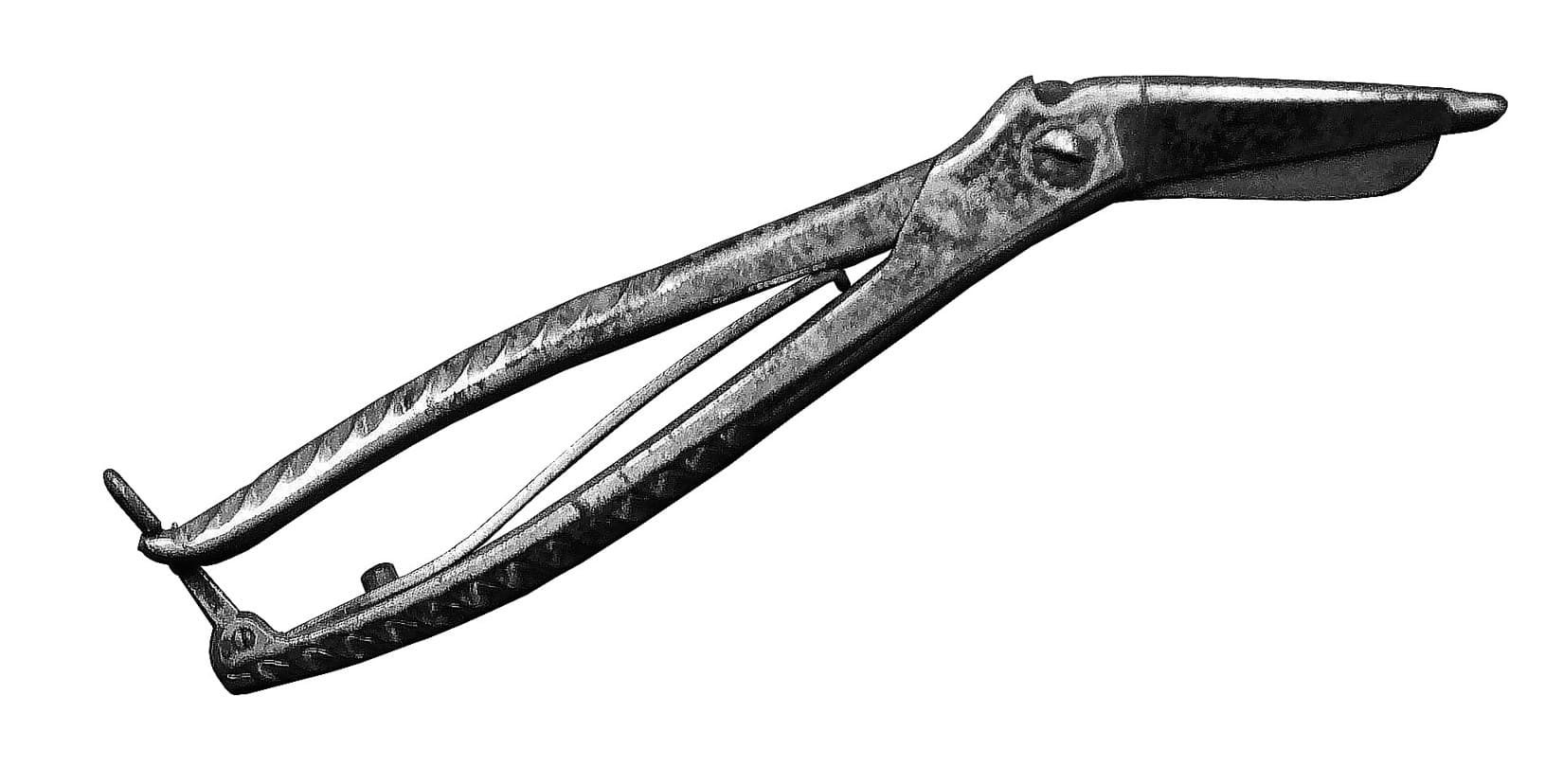 Photo Cisaille à cartilage