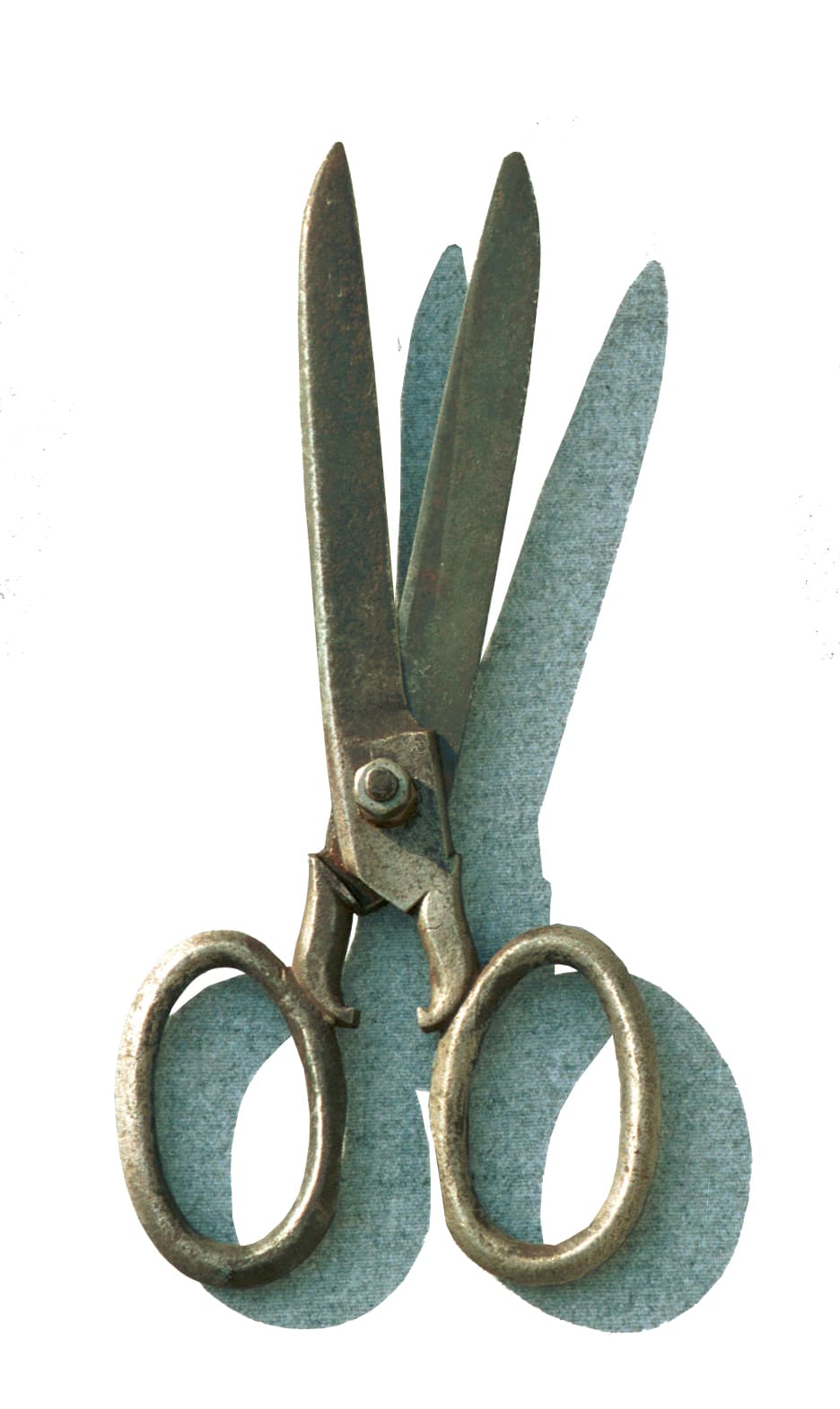 Photo Ciseaux de gantier