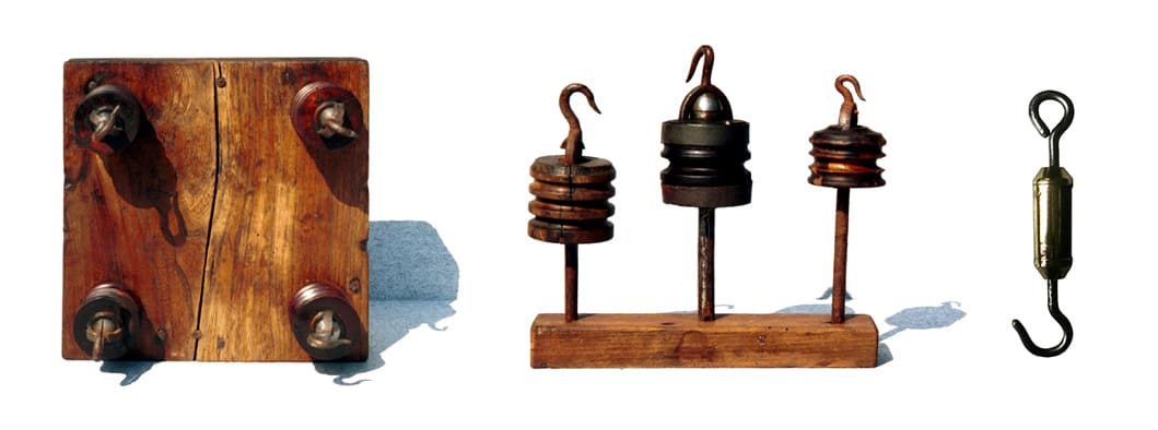 Photo Emérillon de cordier