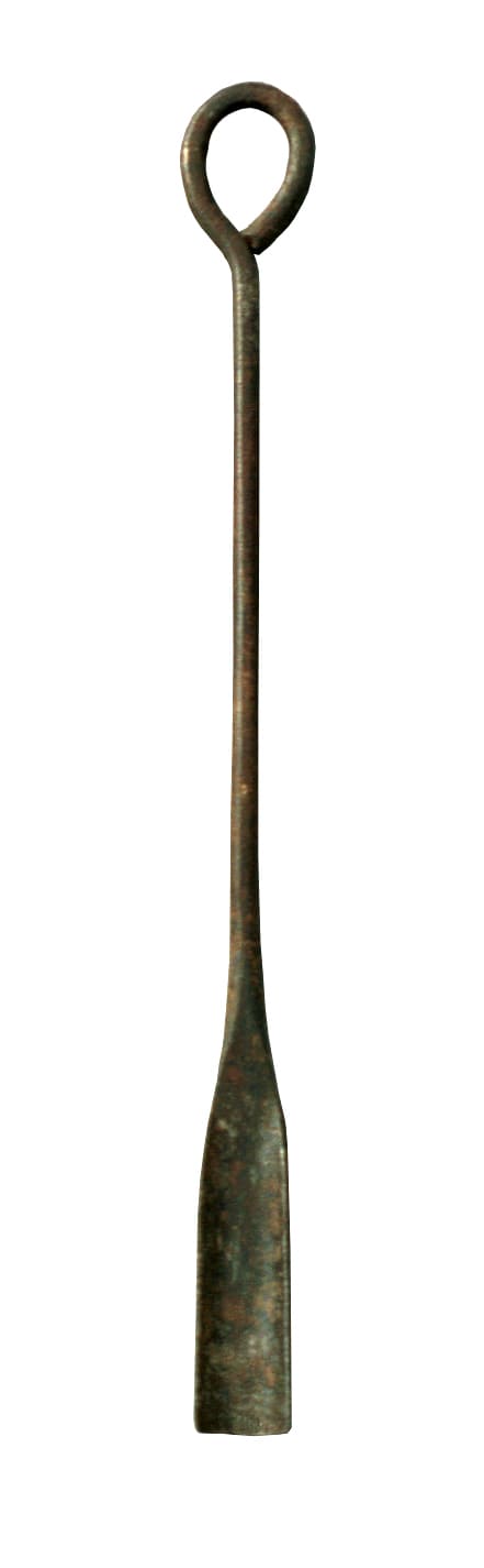 Photo Gouge à asperges