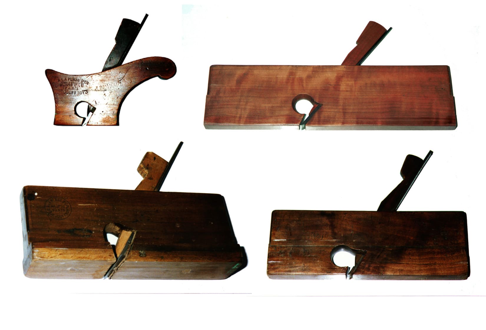 Photo Guillaume à élégir