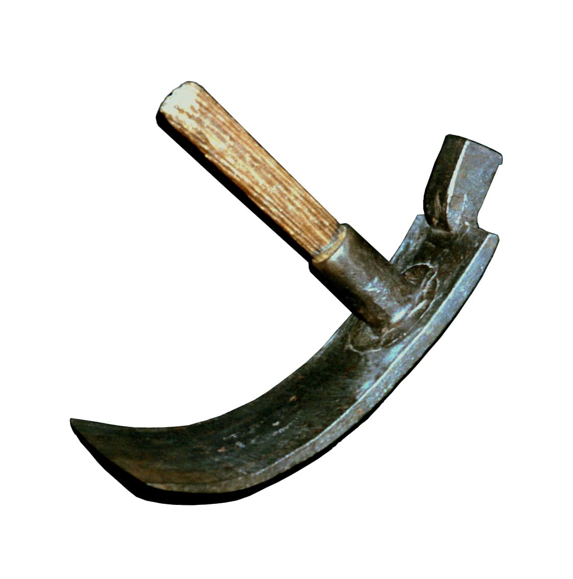 Photo Herminette de charpentier