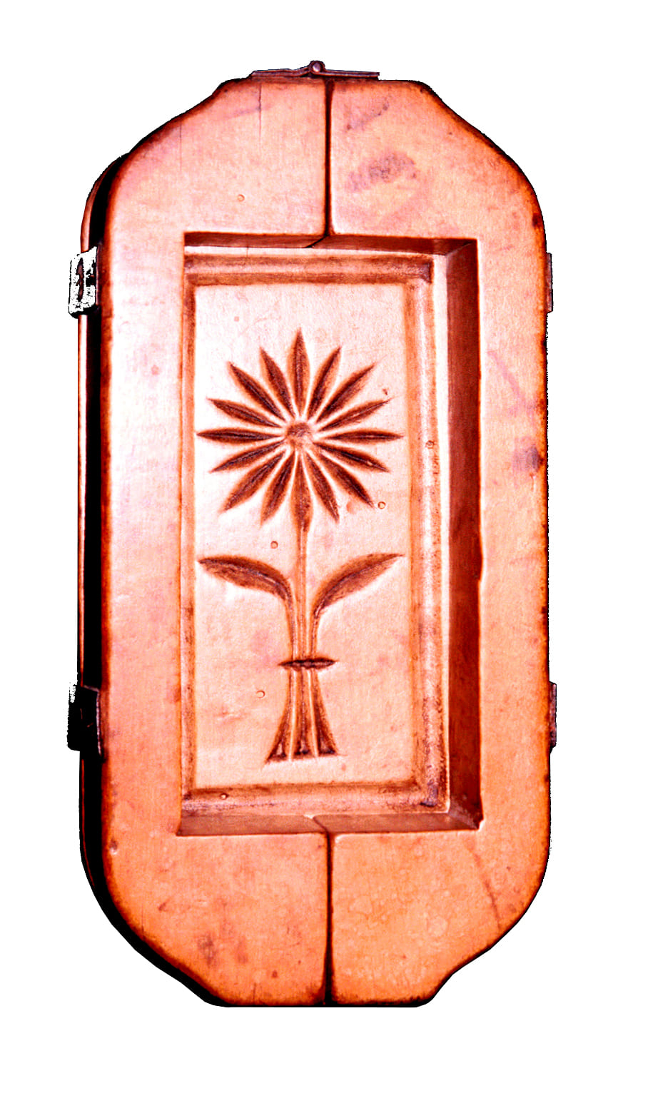 Photo Moule à beurre