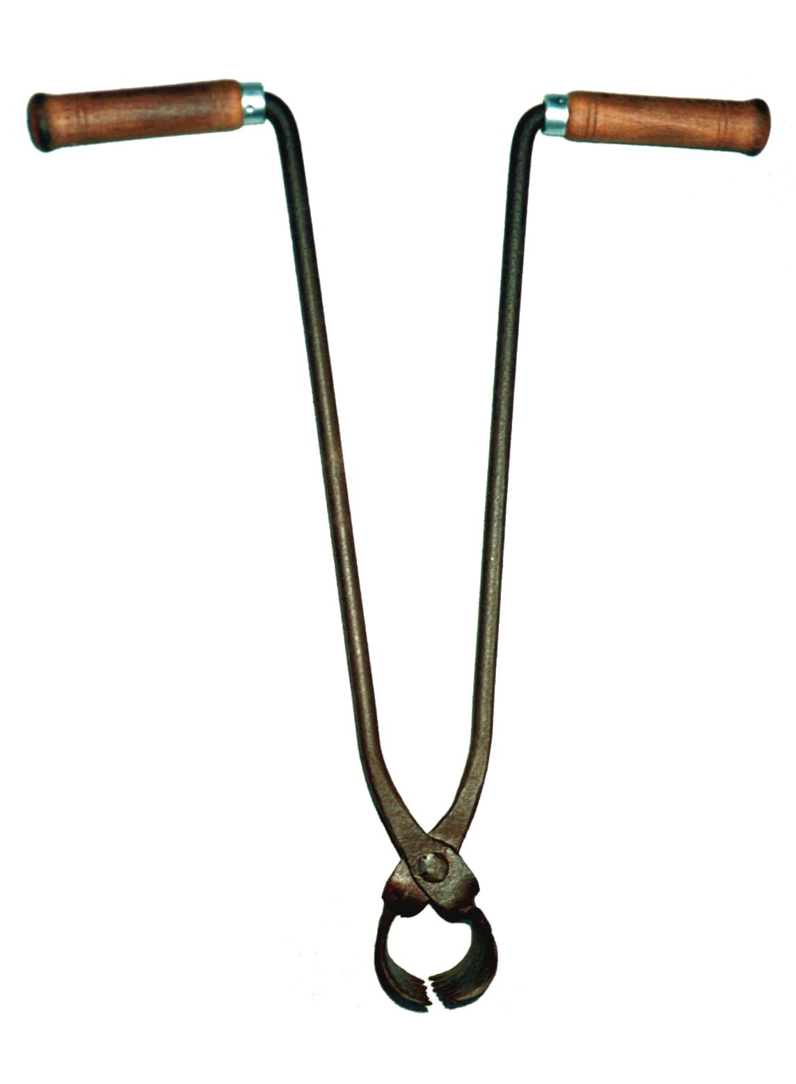 Photo Pince à choux