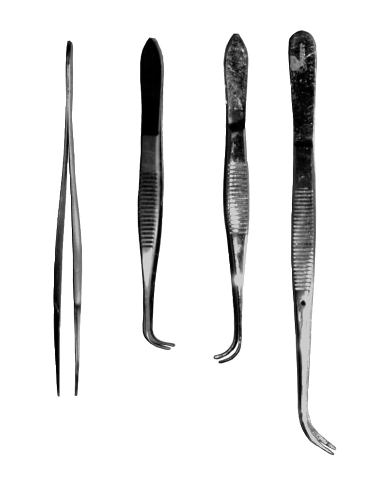 Photo Pince à disséquer