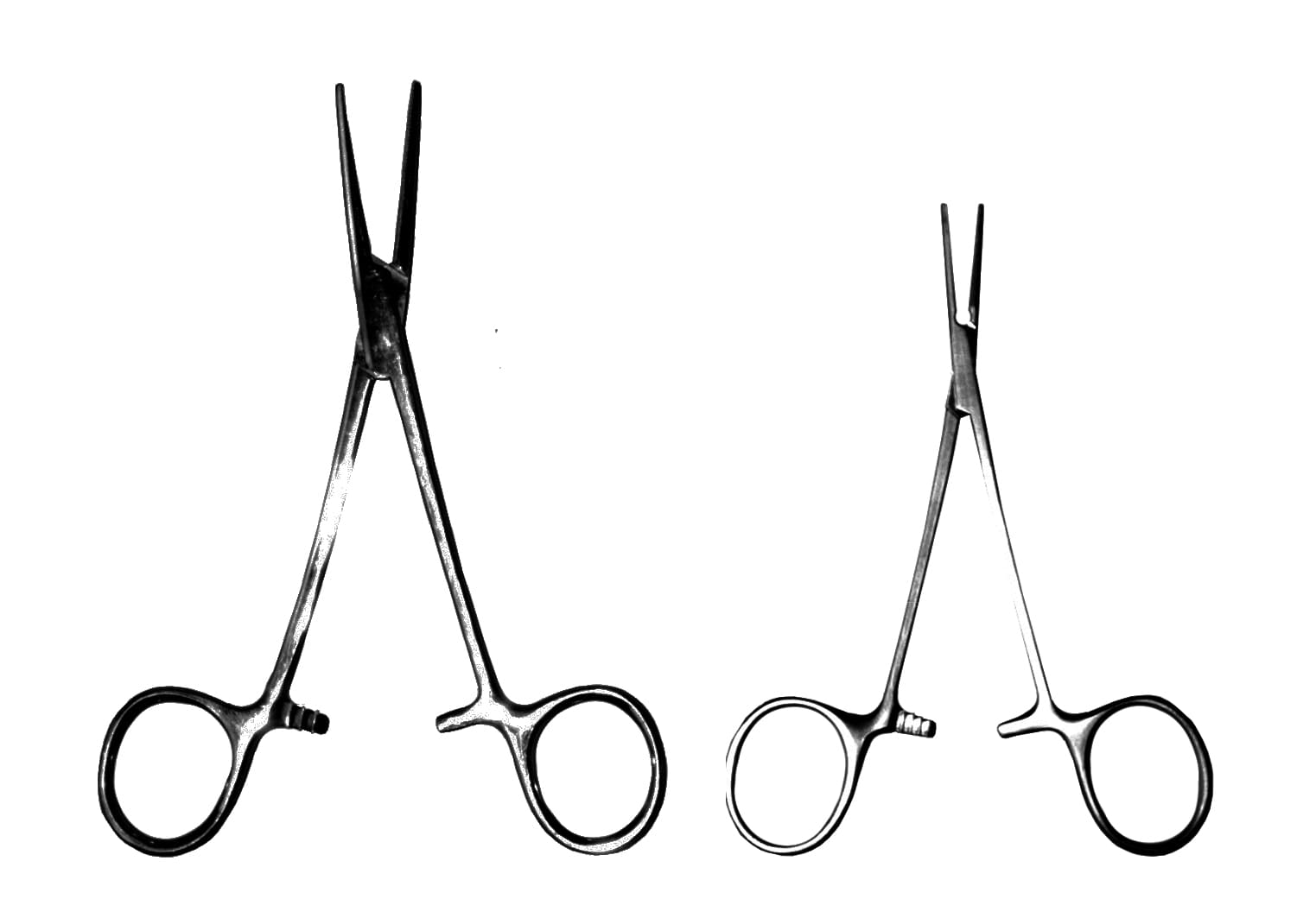 Photo Pince hémostatique