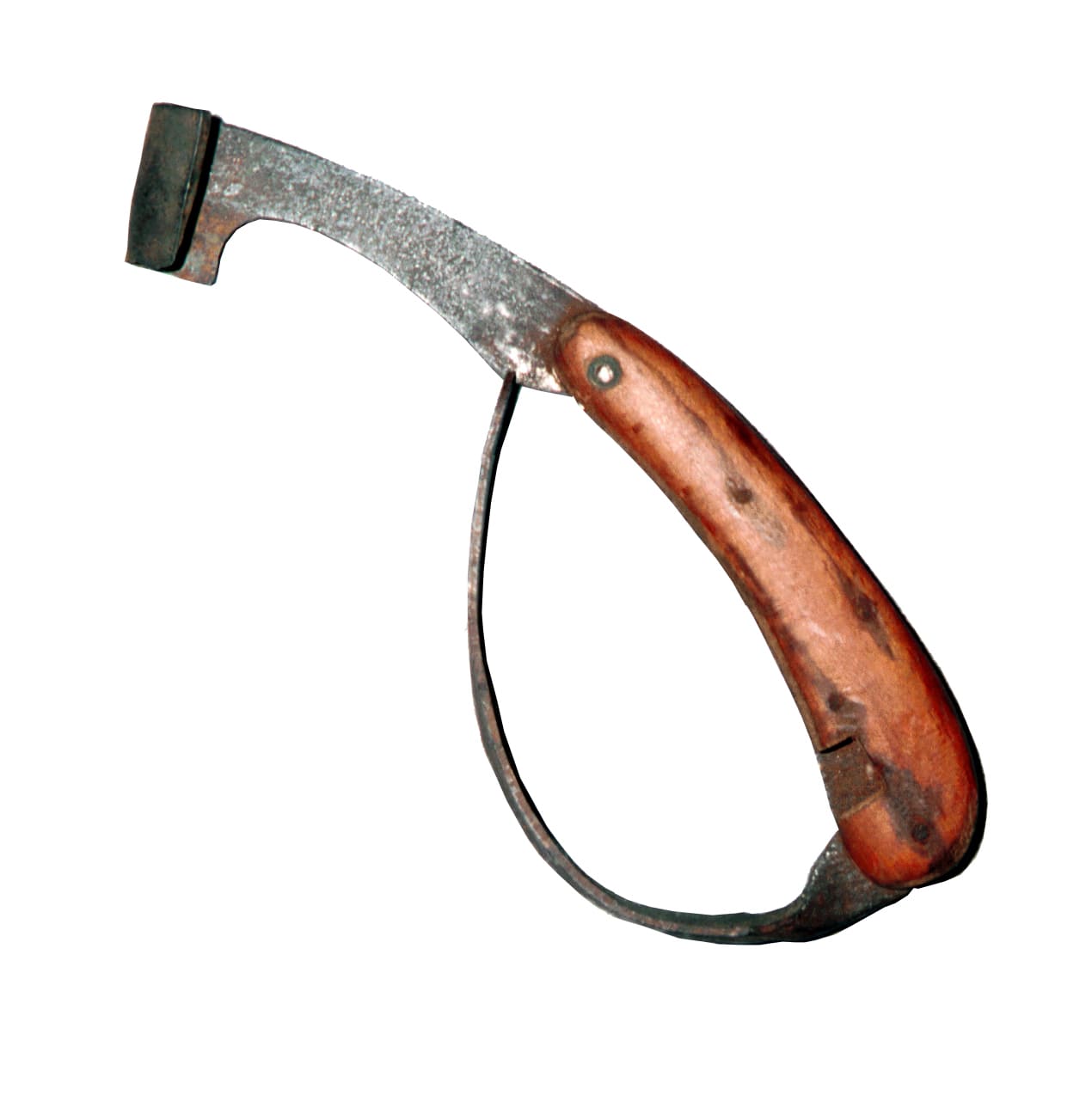 Photo Rénette de forestier