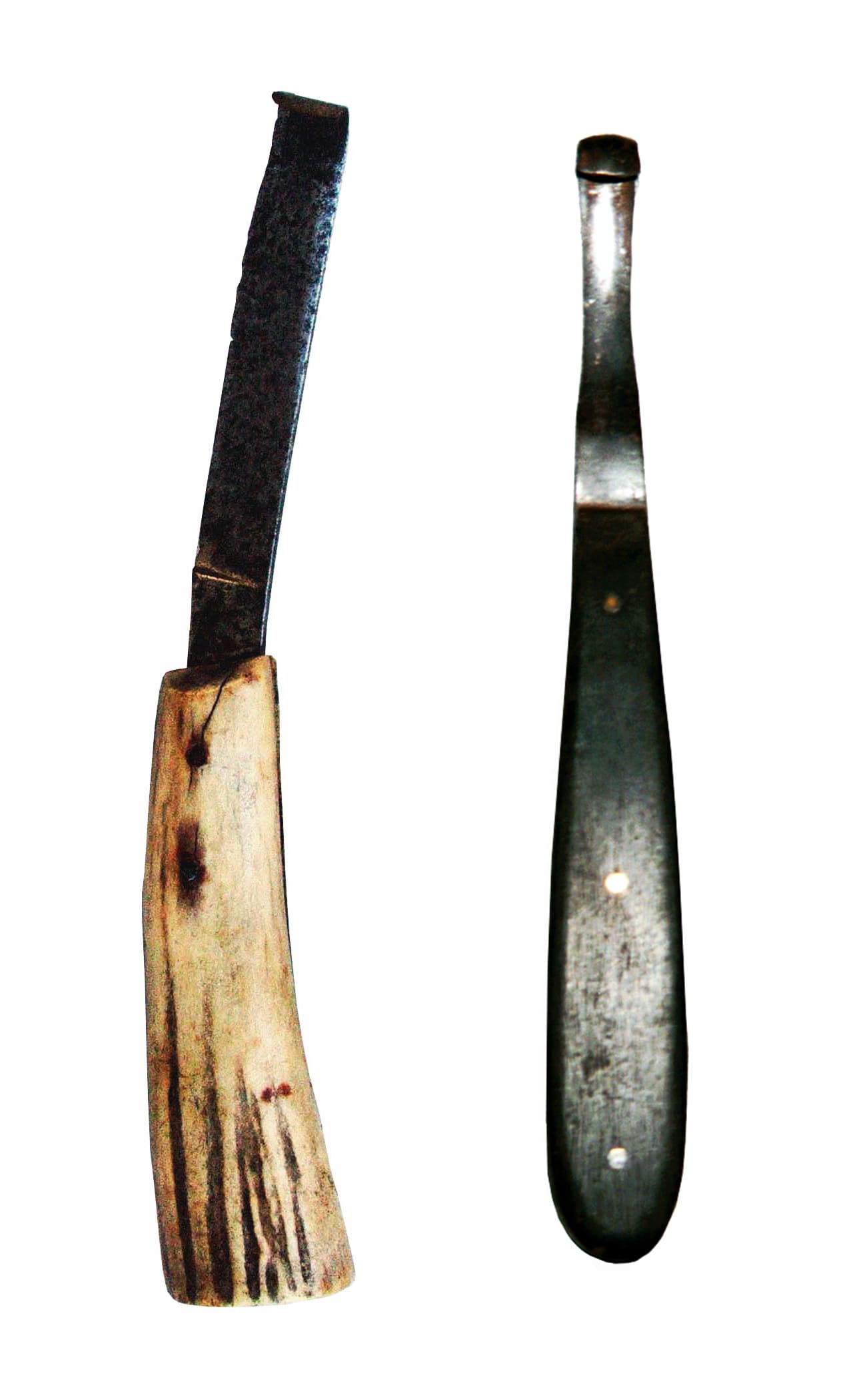 Photo Rénette de maréchal