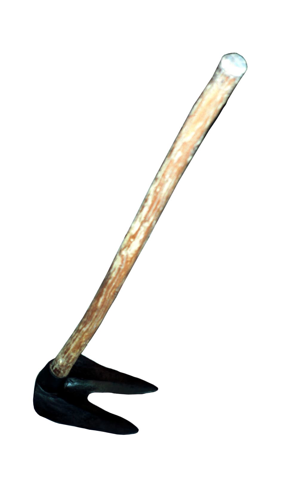 Photo Tire-cavaillon