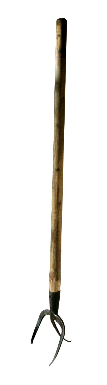 Photo Trident à égrapper